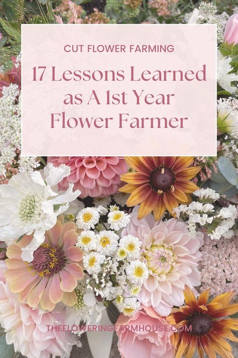 Thinking about starting a cut flower farm? Make sure you don’t make these surprising first year flower farmer mistakes. Flower Garden Layouts, Garden Business, Growing Cut Flowers, Flower Garden Plans, Flower Farming, Cut Flower Farm, Flower Business, Flower Farmer, Gardening Flowers