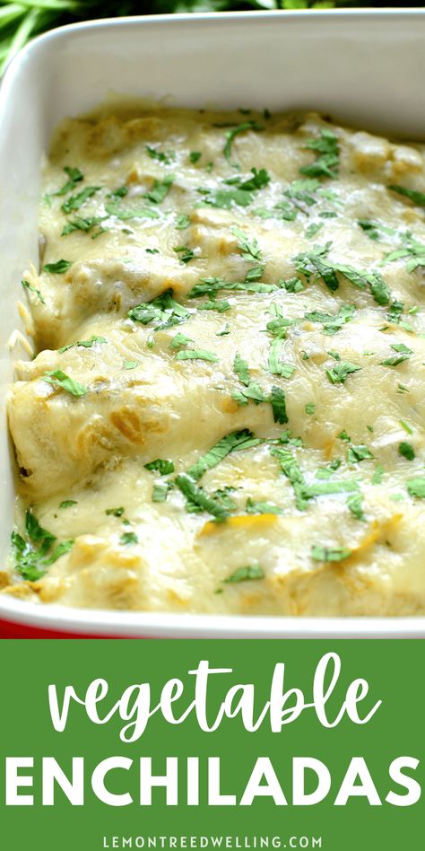 Roasted Veggie Enchiladas, Black Bean Corn Enchiladas, Best Vegetarian Enchiladas, Salsa Verde Vegetarian Enchiladas, Roasted Vegetable Enchiladas, Vegetarian Cheese Enchiladas, Veggie Chimichanga Recipe, Vegetarian Green Chili Enchiladas, Vegetarian Enchiladas Casserole