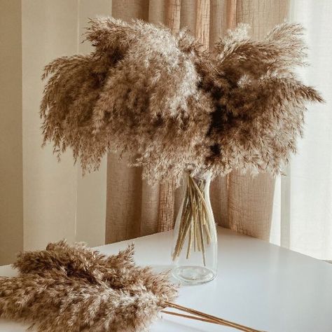 full pampas bouquets Brown Pampas, Christmas Wedding Decorations, Bouquet Home Decor, Pampas Grass Bouquet, Garden Shears, Dried Pampas, Pampas Grass Decor, Grass Decor, Boho Baby Shower