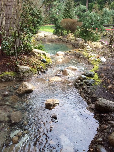 River bed Garden Stream, Alevel Art, Background Inspiration, River Bed, Lost In The Woods, One With Nature, Senior Photo, Scenic Routes, Yard Ideas