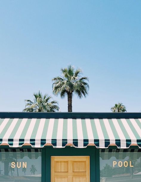 Modern Beach Aesthetic, Retro Palm Springs Aesthetic, Retro Beach Aesthetic, Palm Springs Golf, Vintage Summer Aesthetic, Palm Springs Design, Vintage Malibu, Palm Springs Retro, Palm Springs Aesthetic