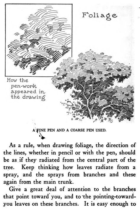 How To Draw Tree Leaves Pencil, Tree Hatching Drawing, Pen Scetches Notebook, Ink Landscape Drawing, Line Drawing Tree, Tree Ink Drawing, Landscape Drawing Ideas, Ink Tree, Landscape Sketches