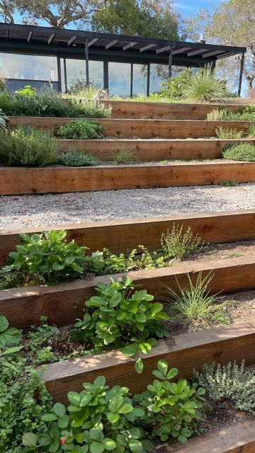 Shallow Garden Steps, Sloped Garden Steps, Stepped Flower Beds, Stair Garden Outdoor, Floating Garden Steps, Terraced Veggie Garden, Outdoor Garden Steps Ideas, Terraced Side Yard, Wide Outdoor Stairs