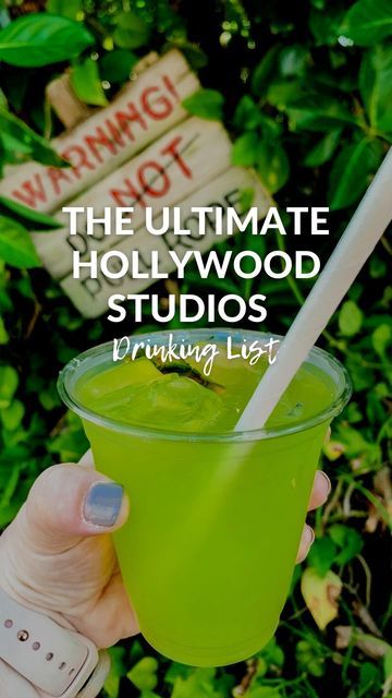 Bethany | Disney Parks & Food on Instagram: "The Ultimate Hollywood Studios Drinking List. 🎬 Here’s my guide to the best drinks in Studios at Disney World. What is your favorite drink?" Disney World Drinks, Universal Hollywood, Light Drinks, Disney Drinks, Fun Drinks Alcohol, Three Broomsticks, Best Drinks, Hollywood Lights, Best Alcohol