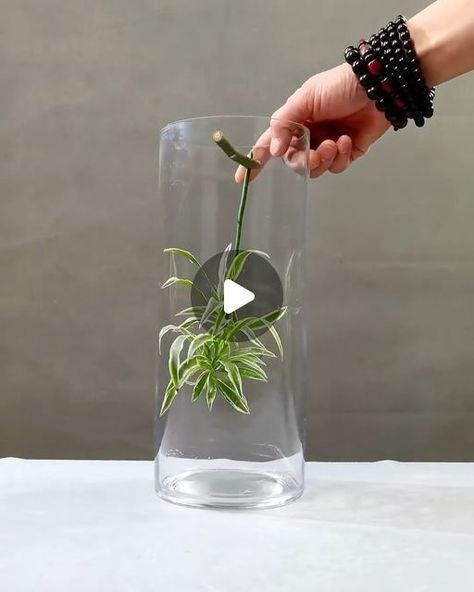 Vase Bouquet Floral Arrangements, Garden Style Flower Arrangement, Plants In Water Vase, Kenzan Flower Arrangement, Diy Small Flower Arrangements, Tropical Flower Arrangements Diy, Glass Flower Arrangements, Flower Arrangements Diy Vase, Flowers Dining Table