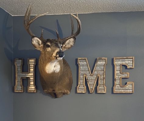 Hunting Bedroom, Deer Head Decor, Deer Mounts, Hunting Room, Hunting Decor, Deer Decor, Hunting Tips, Diy Farmhouse Decor, Deer Head