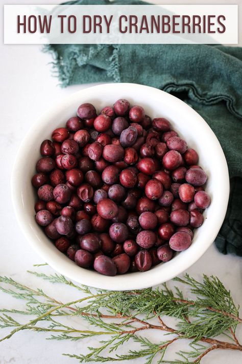 You'll learn how to dry cranberries for decorating and different ways to use dried cranberries in your Holiday decorating. How To Dry Cranberries For Potpourri, How To Dry Cranberries, Dry Cranberries, Dried Cranberries Recipes, Style A Bed, Holiday Potpourri, Dried Potpourri, Homemade Potpourri, Make A Bed