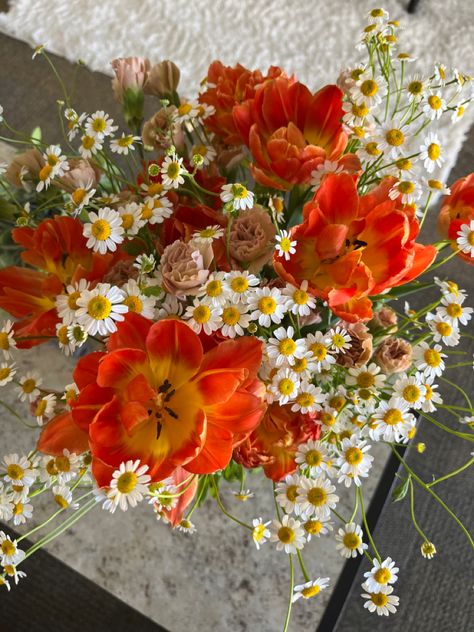 Bouquet with flowers from trader joes - peony tulips, camomile, carnations - bright, orange, yellow, pink Orange Yellow Flower Arrangements, Orange Peony Bouquet, Spring Tulip Bouquet, Flowers Bouquet Trader Joes, Bright Orange Bouquet, Light Orange Bouquet, Orange Daisy Bouquet, Red Orange Yellow Flower Arrangement, Orange Spring Flowers