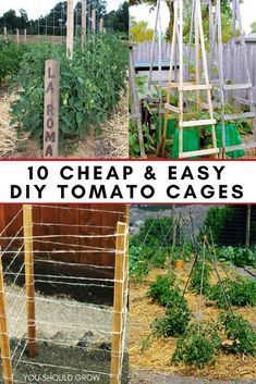 Tomato cages help tomato plants grow healthier and produce more fruit by keeping them off the ground. Tomato cages provide great support, but can get pricey to buy. Learn how to make your own with these 10 ideas. via @youshouldgrow Tanaman Tomat, Small Garden Plans, Tomato Trellis, Growing Tomatoes In Containers, Vertical Vegetable Garden, Tomato Cages, Organic Tomatoes, Veg Garden, Tomato Garden