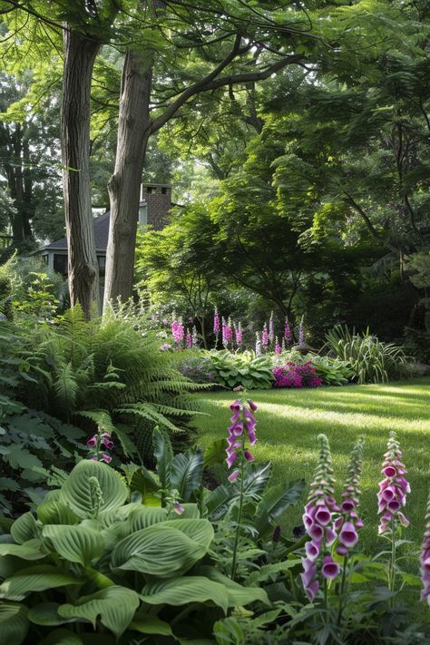 Large Shade Gardens, Southern Shade Garden, Shady Front Yard Landscaping, Kansas Gardening, Ginger Gardening, Tall Shade Plants, Natural Backyard, Shade Loving Plants, Garden 101