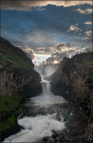 White River Falls State Park, Oregon White River, River Falls, Oregon Travel, Beautiful Waterfalls, Pretty Places, Places Around The World, Amazing Nature, Pacific Northwest, Vacation Spots