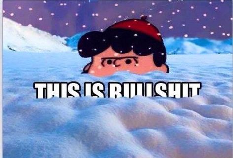 40 Hilarious Winter and Snow Memes for When You're Freezing Your Face Off   #funnypics #funnypictures #wintermemes #snowmemes #lol Snow Quotes, Winter Humor, Snow Humor, Weather Memes, Hate Winter, Misery Loves Company, Snoopy Quotes, Snoopy Love, Charlie Brown And Snoopy