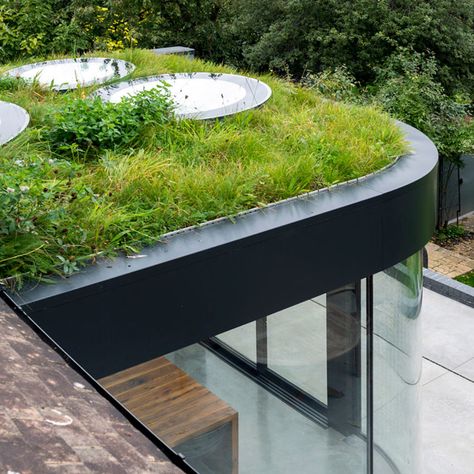 Don't Move, Improve! 2019 shortlist shows best London house extensions Curved Extension, Small House Extensions, Sedum Roof, Riverside Garden, Green Roof System, Victorian Renovation, Green Roofs, Earth Sheltered, Room Extensions