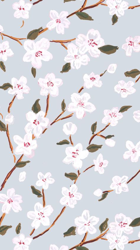 Let your walls bloom with vibrant colors this spring! Get inspired with our collection of aesthetic wallpaper ideas to bring life to your space. #SpringWallpaperBliss Cherry Blossoms, Wrapping Paper, Cherry, Flowers, Floral, Green, Pins, Blue, White