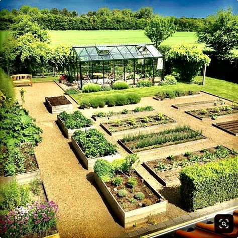 Lots Of Plants, Garden Layout Vegetable, Garden Design Layout, Veg Garden, Home Vegetable Garden, Garden Pictures, Vegetable Garden Design, Garden Layout, Veggie Garden