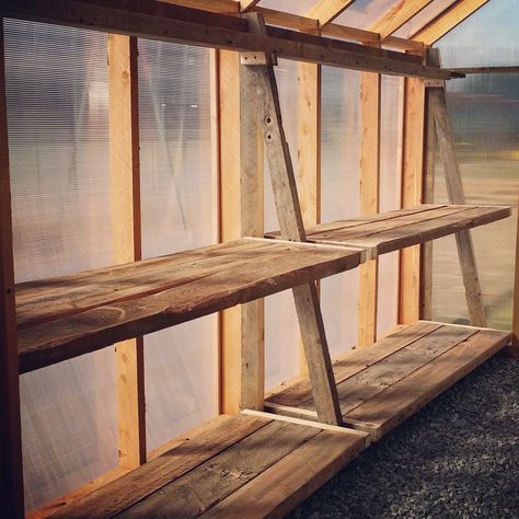 Diy Greenhouse Shelves, Greenhouse Shelving, Serre Diy, Greenhouse Shelves, Greenhouse Benches, Homemade Greenhouse, Pallet Deck Diy, Garden Diy Furniture, Diy Greenhouse Plans