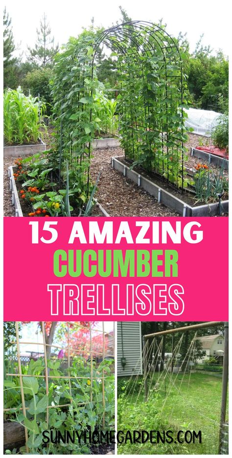 See how a cucumber trellis can transform your backyard garden, making it more organized and productive. Cucumber Garden Trellis, Cucumber Trellis Ideas, Homemade Trellis, Outdoor Trellis Ideas, Growing Cucumbers Vertically, Cucumber Trellis Diy, Teepee Trellis, Vertical Trellis, Vegetable Trellis