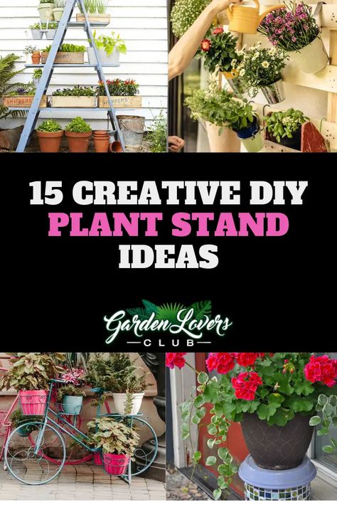 10 Best Plant Choices for Plant Stands - Garden Lovers Club Homemade Large Plant Stand, Outdoor Planter Stand Ideas, Ladder Plant Stand Outdoor, Rustic Plant Stands Indoor, Creative Plant Stands Outdoor, Garden Plant Stand Ideas, Outdoor Plant Shelf Ideas Patio, Multiple Plant Stand Indoor, Plant Stands Outdoor Diy