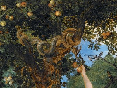 The garden of Eden with the fall of man (detail) by Peter Paul Rubens and Jan Brueghel the Elder, 1615. Garden Of Eden Drawing, Garden Of Eden Snake, Vittorio Toscano, Eden Painting, Eden Aesthetic, Jan Brueghel, The Fall Of Man, Fall Of Man, Kinds Of Snakes