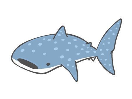 Doodle Art Sea Animals, Cartoon Whale Shark, Whale Shark Art Cute, Cute Sharks Drawings, Wale Sharks Drawing, Cute Shark Icon, Whale Shark Drawing Cute, Whale Shark Drawing Easy, Whale Shark Widget