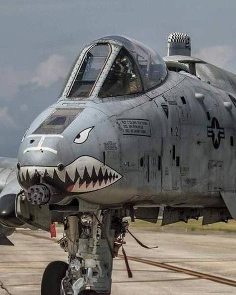 Military Aircraft — Nemesis of tanks -A10 Warthog ! A10 Warthog, Jet Fighter Pilot, A 10 Warthog, Airplane Fighter, Military Hardware, Air Fighter, Guy Stuff, Military Jets, Aircraft Art