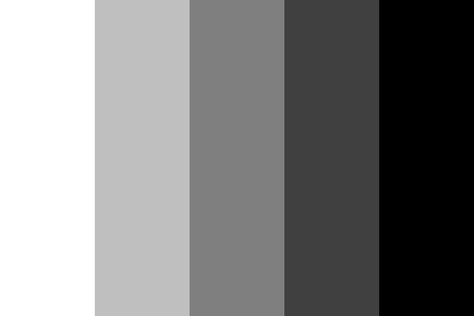 From Black to White Color Palette Movie Color Palette, Monochrome Color Palette, Paula Scher, Monochromatic Color Palette, Dark Color Palette, Black Color Palette, Black And White Movie, Monochromatic Color Scheme, Grey Color Palette