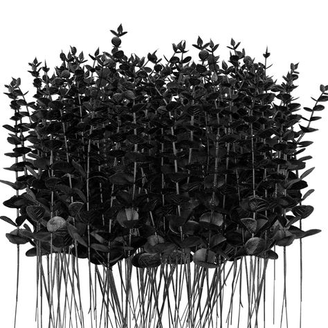 PRICES MAY VARY. [Package Includes] 96pcs Black artificial eucalyptus stems,each branch with about 25 leaves. [Sizes of flexible eucalyptus stems] These artificial eucalyptus leaves are around 15in/38cm in length,and the stems are iron wire inside that can bend the branch in many shapes to fit your vase. [Premium Material ]These TGANNYOCR Black faux eucalyptus leaves are made of premium plastic, it use the powder planting technology to create a natural style which make the artificial flowers lik Halloween Branches, Branches Decor, Black Eucalyptus, Bouquet Centerpiece, Floral Bouquets Wedding, Eucalyptus Stems, Centerpiece Home, Fall Stem, Faux Eucalyptus