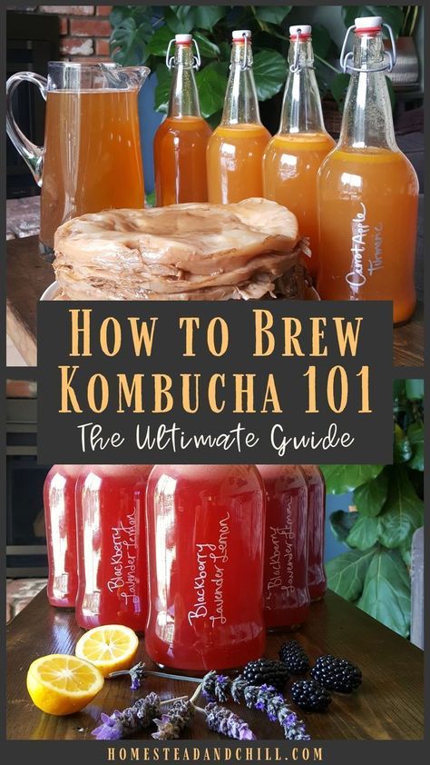 Diy Kombucha, Make Kombucha, Kombucha Flavors, How To Brew Kombucha, Homemade Kombucha, Kombucha Recipe, Fermentation Recipes, Fermented Drink, Fermented Foods