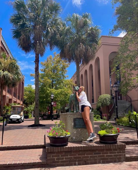 College Of Charleston Dorm, South Carolina University Aesthetic, Charleston University, College Of Charleston Aesthetic, University Of South Carolina Dorm, University Of North Carolina Chapel Hill Aesthetic, Charleston Sc Asthetic, Charleston Trip, College Vibes