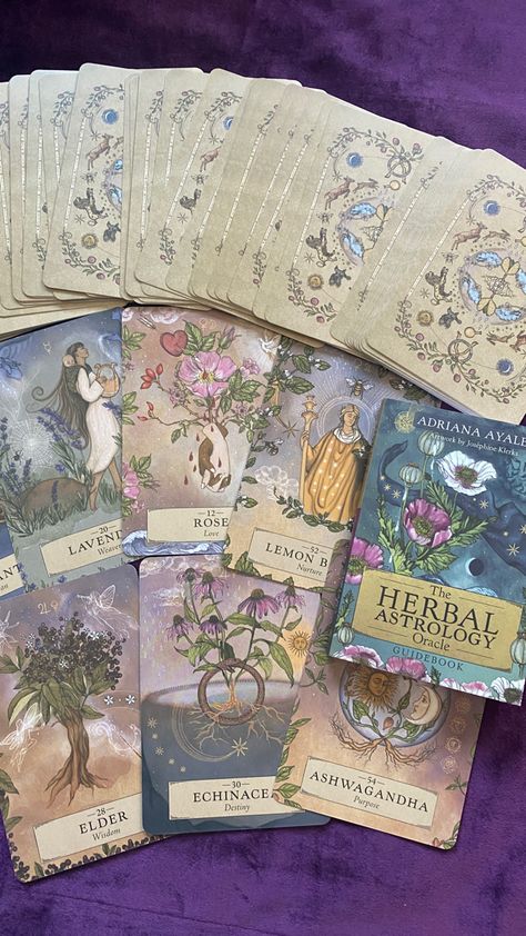 The herbal astrology oracle deck by Adriana Ayales. Elder, Ashwagandha, lemon balm, lavender. Good Tarot Cards, Pretty Tarot Cards, Oracle Deck Aesthetic, Oracle Cards Aesthetic, Tarot Decks Beautiful, Flower Tarot Cards, Tarot Cards Aesthetic, Herbal Astrology, New Tarot Deck