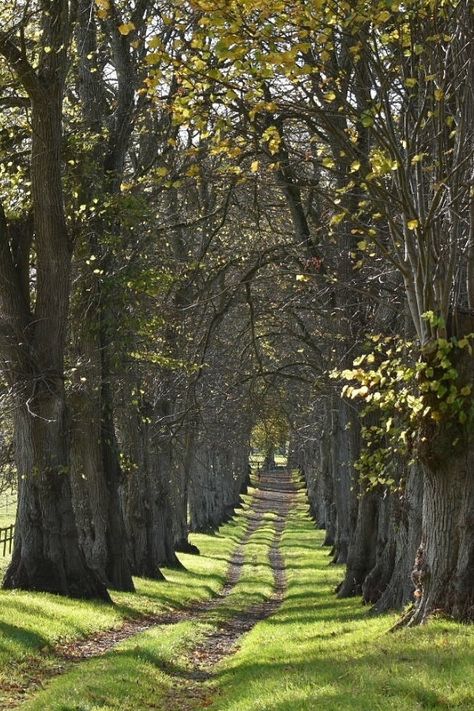 Ireland Countryside Landscapes, Irish Countryside House, Irish Landscape Aesthetic, Ireland Cottage Aesthetic, Irish History Aesthetic, House In Ireland, Irish Astetic, Dark Irish Aesthetic, Ireland Countryside Aesthetic