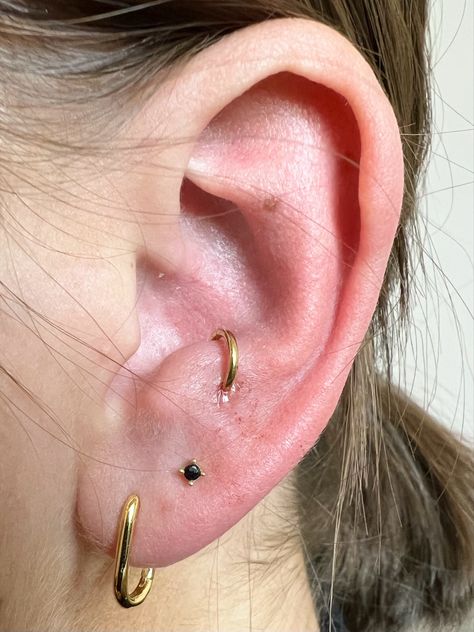 Ear Setup, Ušný Piercing, Vibe Outfits, Pretty Piercings, Danty Jewelry, Orbital Piercing, Anti Tragus Piercing, Tragus Piercing Jewelry, Conch Jewelry