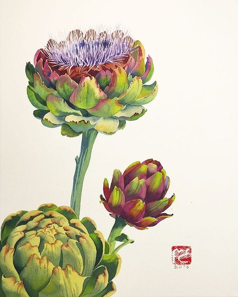 Artichoke Flower, Support Art, Plant Painting, Botanical Painting, Botanical Watercolor, Plant Illustration, Art And Illustration, Botanical Wall Art, Instagram Foto