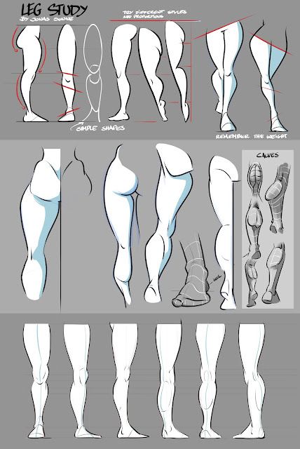 Leg Study, Drawing Legs, Female Anatomy Reference, Drawing Female Body, Výtvarné Reference, Female Drawing, Human Anatomy Drawing, Body Drawing Tutorial, Human Anatomy Art