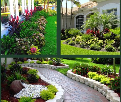 Florida Small Yard Landscaping Ideas, Florida Coastal Landscaping Ideas, Central Florida Landscaping Ideas Front Yards, Landscape Design Florida, Florida Xeriscape, North Florida Landscaping Ideas, Central Florida Landscaping Ideas, South Florida Landscaping Ideas, Tropical Front Yard Landscaping