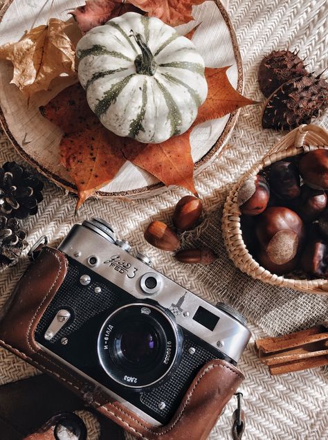 Autumn Still Life Photography, Halloween Product Shoot, Camera Fall Aesthetic, Autumn Product Photography, Halloween Flatlay, Month Themes, Fall Flatlay, Autumn Flatlay, Bag Shoot