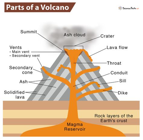 Parts Of A Volcano, Volcano Parts, Volcano For Kids, Volcano Science Projects, Volcano Drawing, Biology Projects, Weather Science, Science Week, Parts Of The Earth