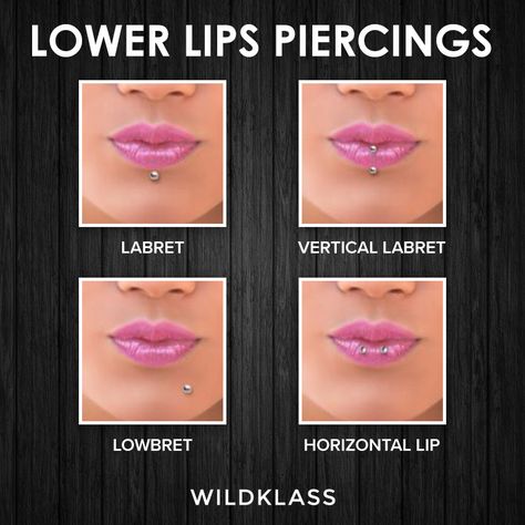 Lowe Lips Piercings | WILDKLASS Under Bottom Lip Piercing Middle, Lower Lip Piercing Side Ring, Side Lip Piercing Hoop, Lip Peircings Middle, Center Lip Piercing Hoop, Lips Piercing, Lower Lip Piercing, Piercings Chart, Lip Piercing Jewelry