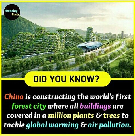 China also think about their country and about earth... Random History Facts, Weird But True Facts, Facts About China, China Facts, Happy Facts, Weird History Facts, Science Trivia, Daily Fun Facts, False Facts