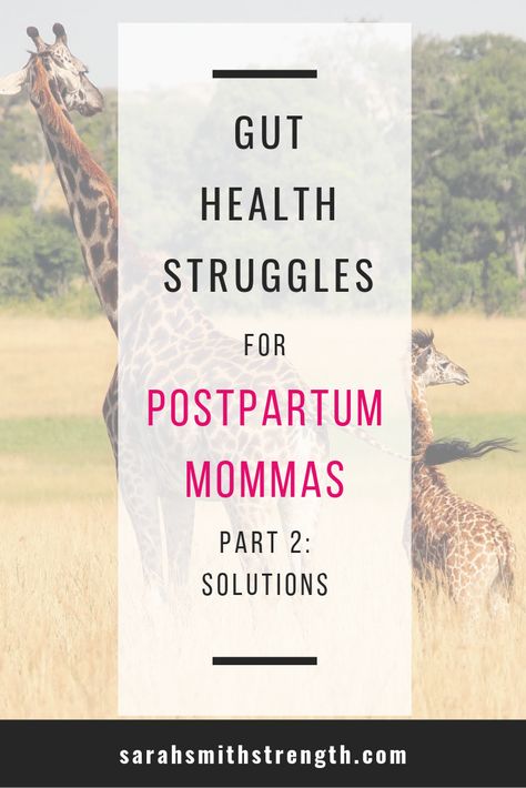 So you read Part 1 and all about WHY we may struggle with gut health and digestion after baby, but now let’s talk about solutions! Heal Your Gut, Pelvic Organ Prolapse, Health Topics, Post Baby, Post Pregnancy, After Baby, After Pregnancy, Fat Burning Foods, Pelvic Floor