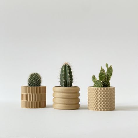 Plant Pot Design, Contemporary Planters, Plant Pot Diy, Geometric Planter, Planter Design, Mini Studs, Wood Accessories, Pot Designs, Small Planter