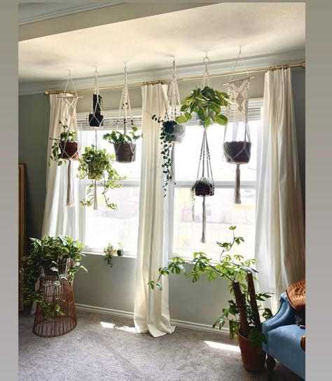 Tall Plant Shelf Indoor, Living Room Window Plant Decor, Plant Room Curtains, Hanging Plants With Curtains, Hanging Plants In Window With Curtains, Plants Hanging From Ceiling Living Rooms, Windows With Hanging Plants, Indoor Plant Display With Grow Lights, Displaying Large Plants