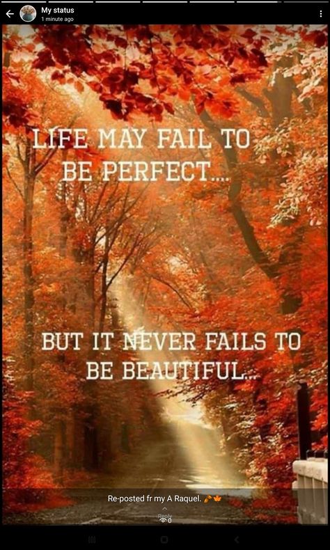 Cool Fall Morning Quotes, Fall Time Quotes, Hello Fall Quotes, Autumn Quotes Inspirational, Winter Sunday, September Quotes, Lipstick Quotes, Fall Quotes, Daily Grace