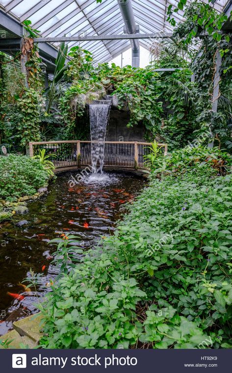 Butterfly Conservatory, Tropical Greenhouses, Cambridge Ontario, House Property, The Greenhouse, Fish Pond, Tap Room, Plant Nursery, All About Plants