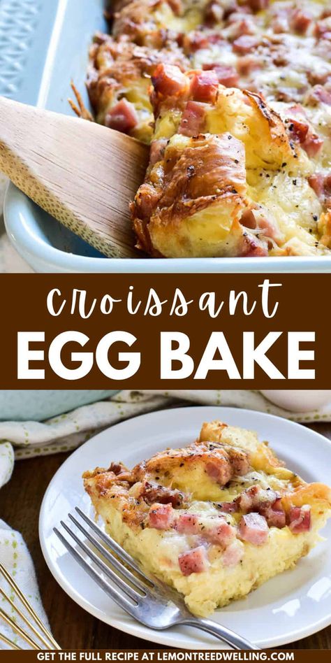 This Ham & Cheese Croissant Egg Bake is the ultimate breakfast dish. It combines the classic flavors of ham & Swiss in a delicious breakfast casserole that's prepared the night before and oven-ready when you wake up! Ham Eggs Breakfast, Ham Egg Cheese Potato Breakfast Casserole, Ham Croissant Breakfast Casserole, Fluffy Egg Bake, Breakfast Crossiant Ideas, Egg Casseroles For A Crowd, Crescent Roll Breakfast Recipes Ham, Egg Croissant Casserole, Egg Ham And Cheese Casserole