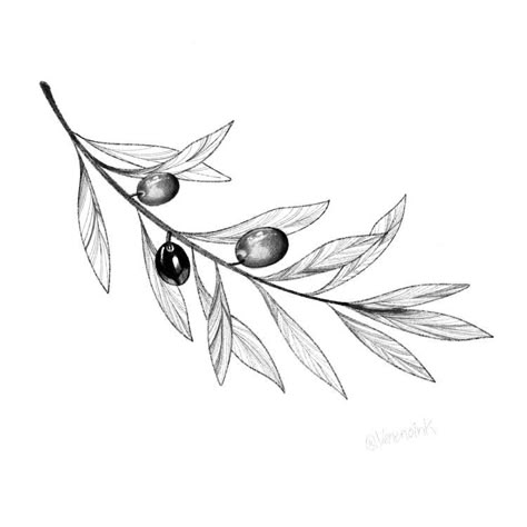 Olive Branch Drawing Tattoo, Delicate Olive Branch Tattoo, Greek Olive Tattoo, Oliver Branch Tattoo, Olive Tattoo Design, Olive Tattoo Branch, Olive Leaf Drawing, Olive Wreath Tattoo, Olive Leaf Tattoo Design