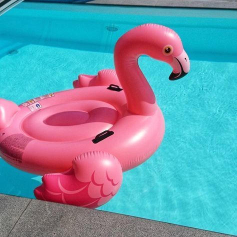 Pink Flamingo Drink, Pink Pool Floats, Flamingo Floaties, Toddler Floaties, Flamingo Inflatable Pool, Flamingo Inflatable, Pool Inflatables, Cute Pool Floats, Summer Pool Floats