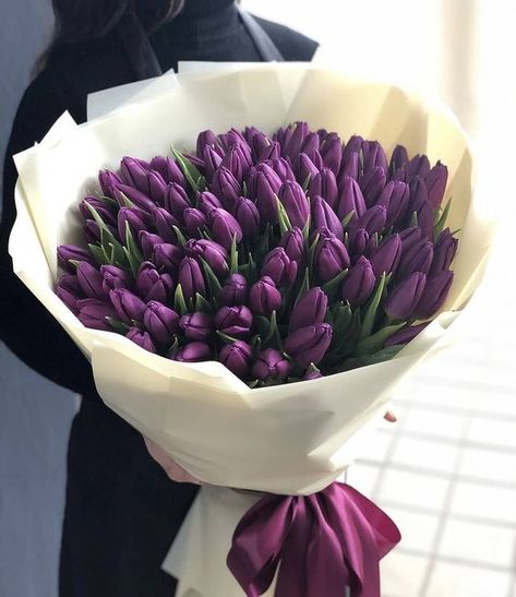 Tulip Flower Pictures, Tulip Colors, Luxury Flower Bouquets, Boquette Flowers, Tulip Bouquet, Flowers Bouquet Gift, Nothing But Flowers, Purple Tulips, Flower Therapy