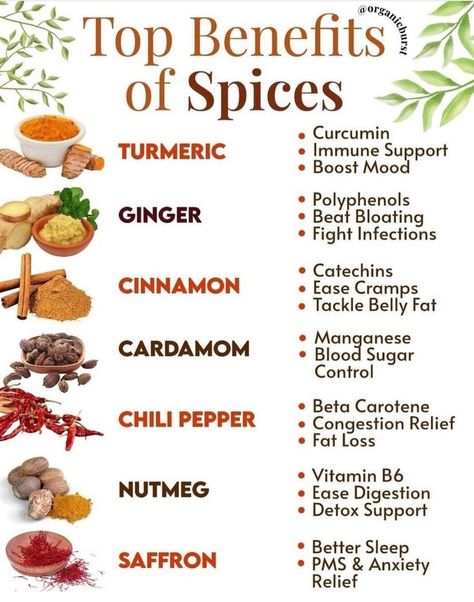 Herbal Remedies Recipes, Medical Herbs, Healthy Food Guide, Food Health Benefits, Healthy Food Facts, Home Health Remedies, Herbs For Health, Holistic Nutrition, Healing Food