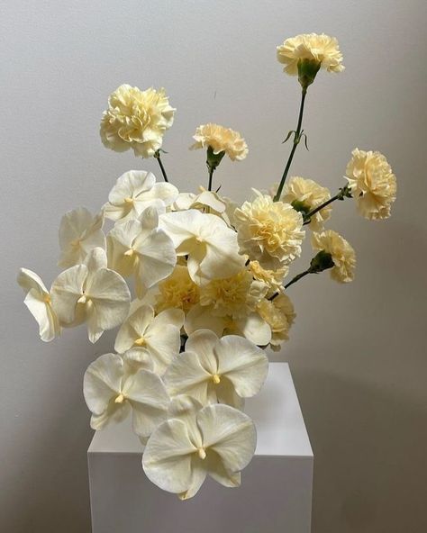 FashiionGoneRouge | @castorfleuriste | Instagram Yellow Flower Installation, Ombre Floral Installation, Marigold Floral Installation, Floral Cloud Installation, Light Yellow Weddings, Pale Yellow Weddings, Bridal Table Flowers, Yellow Apricot Blossom, Yellow Flower Arrangements